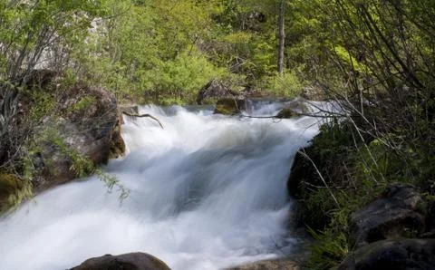 Waterfall in the forest Stock Photos