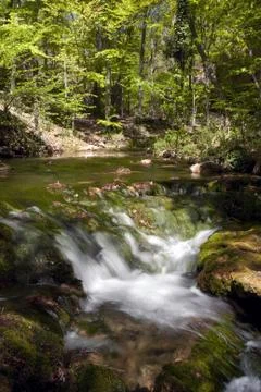 Waterfall in the forest Stock Photos