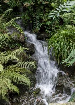 Waterfall in forest Stock Photos