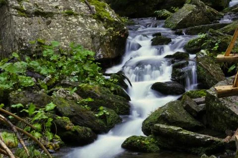 Waterfall in the forest Stock Photos
