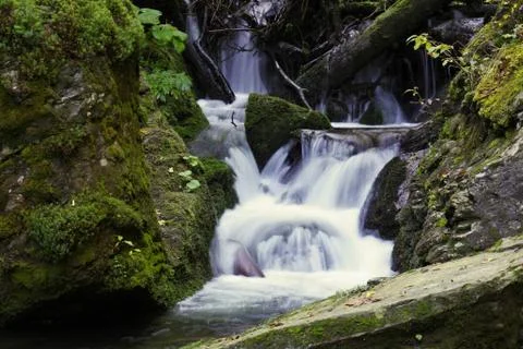 Waterfall in the forest Stock Photos