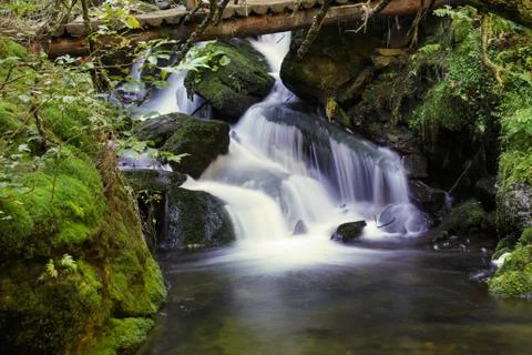 Waterfall in the forest Stock Photos