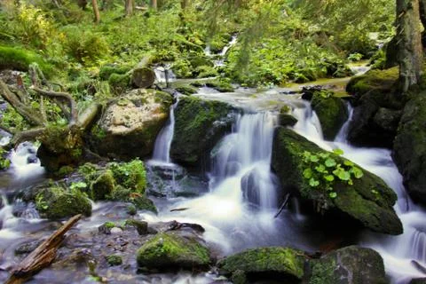 Waterfall in the forest Stock Photos