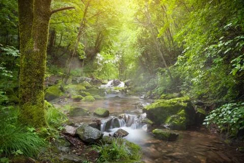 Waterfall in forest Stock-Fotos