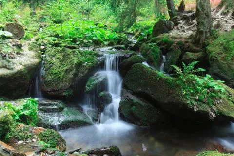 Waterfall in the forest. Stock Photos
