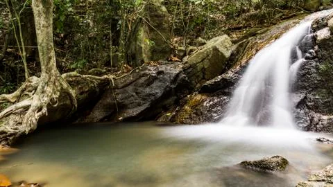 Waterfall forest Stock Photos