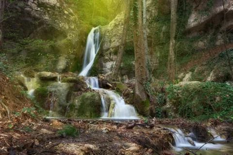 Waterfall in the forest Stock Photos