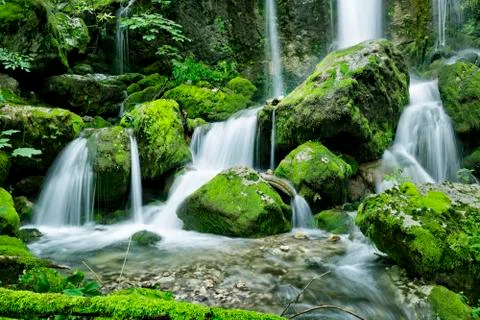 Waterfall in the forest 스톡 사진