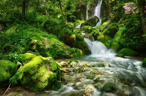 Waterfall in a forest 스톡 사진