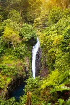 Waterfall in forest Stock Photos