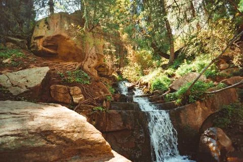 Waterfall in the forest Stock Photos