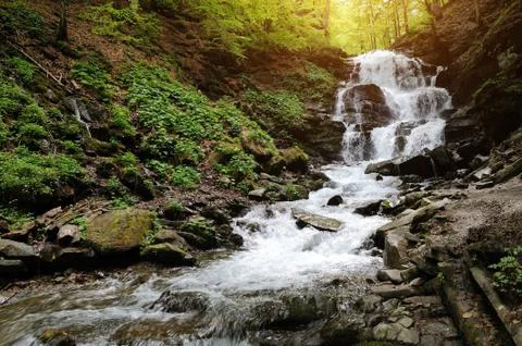 Waterfall in forest 写真素材