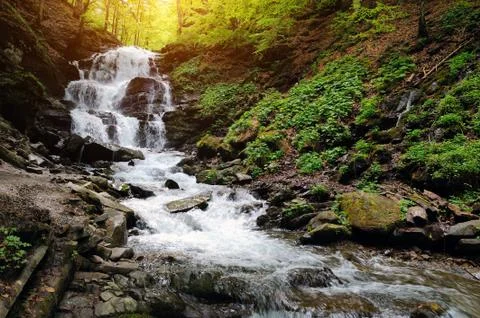 Waterfall in forest Stock Photos
