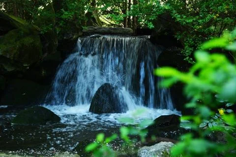 Waterfall in forest Stock Photos