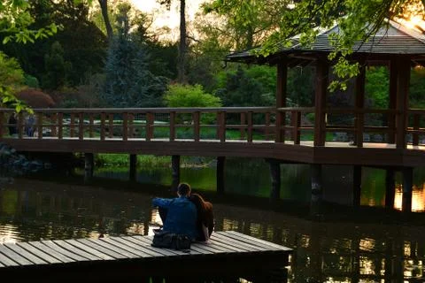 Waterfall in forest Stock Photos