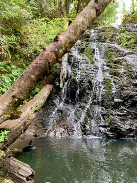 Waterfall in the Forest Stock Photos