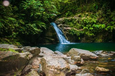Waterfall in the forest Stock Photos