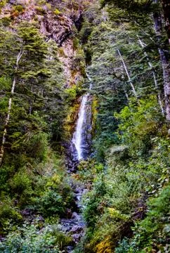 A Waterfall in the Forest Stock Photos