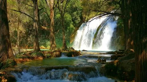 Waterfall in the forest Stock Photos