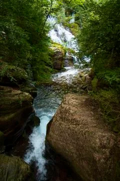 Waterfall in a forest Stock Photos