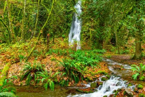 Waterfall in forest Stock Photos