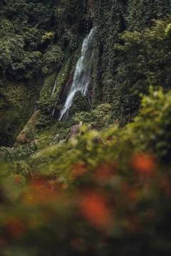 A waterfall in a forest Foto stock