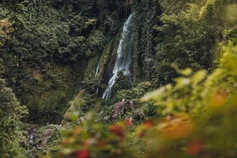 A waterfall in a forest Stock Photos