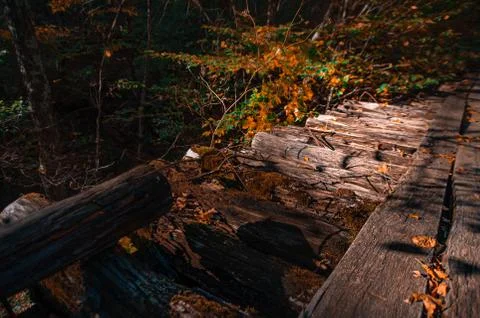 A waterfall in a forest Stock Photos