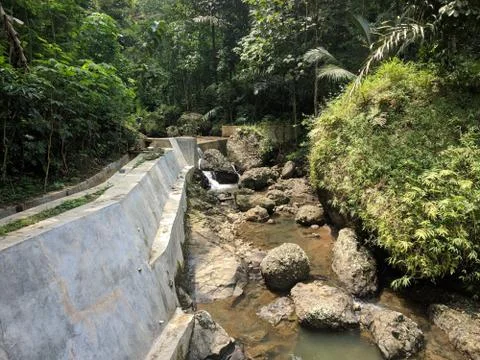 Waterfall in the forest	 Stock Photos