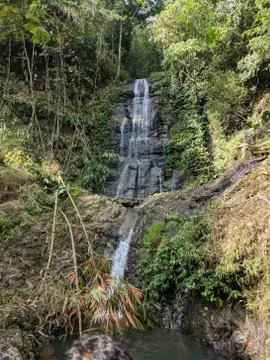 Waterfall in the forest	 Stock Photos