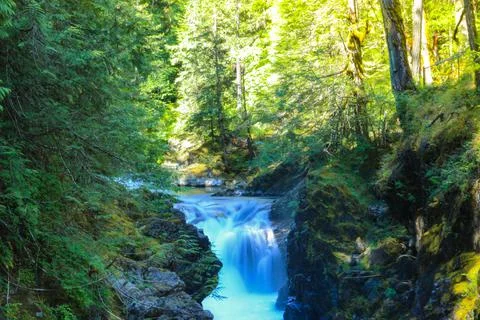A waterfall in a forest Foto stock