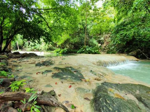 Waterfall in the forest Stock Photos