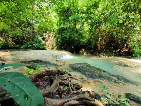 Waterfall in the forest Stock Photos
