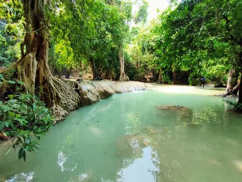 Waterfall in the forest Stock Photos