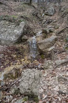 Waterfall in the forest Stock Photos