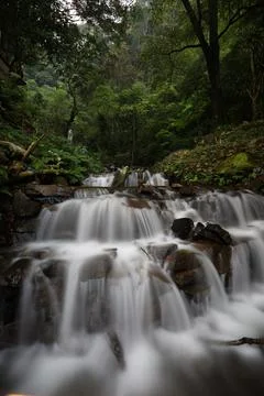 Waterfall in the forest Foto stock