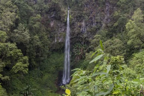 Waterfall in the forest Stock Photos
