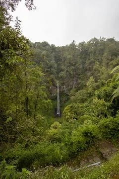 Waterfall in the forest Foto stock