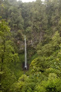 Waterfall in the forest Foto stock
