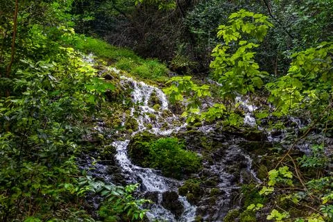 A waterfall in a forest 库存照片