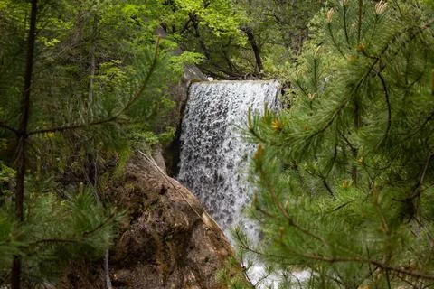 Waterfall in forest Stockfoto's