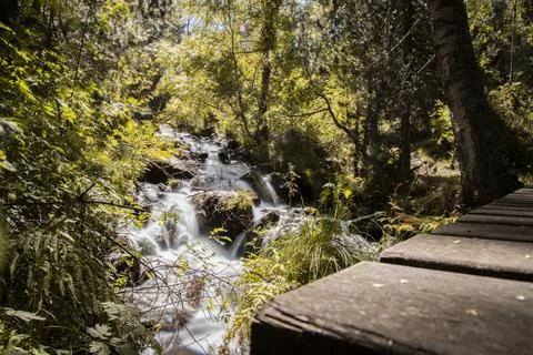 Waterfall in a forest Foto stock