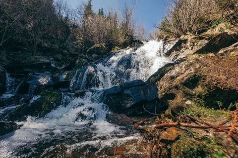 A waterfall in a forest Stock Photos