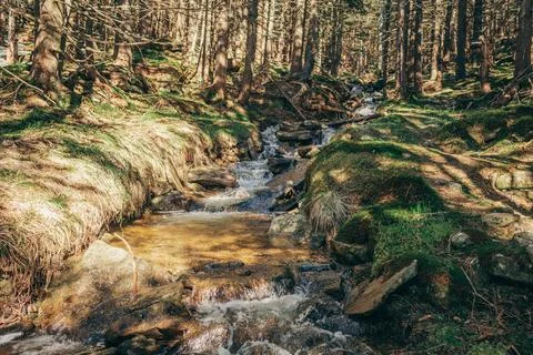 A waterfall in a forest Stock Photos