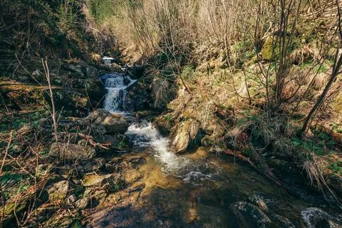 A waterfall in a forest Stock Photos