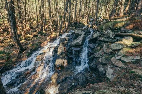 A waterfall in a forest Stock Photos