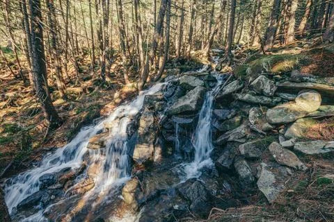 A waterfall in a forest Stock Photos
