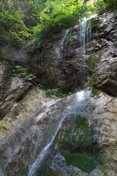 Waterfall in forest Stock Photos