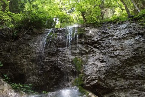 Waterfall in forest 스톡 사진