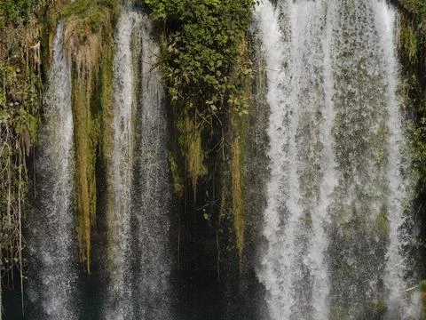 A waterfall in the forest Stock Photos